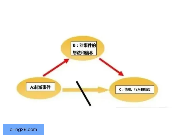 从战术定位心理压力到赛程消耗解析B席国家队低迷根源多重因素